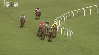 Cheltenham Festival 2019 Day 1  All Finishes [upl. by Anglo]