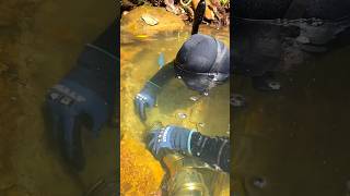 Amazing GOLD Found With Dredge [upl. by Mariele]