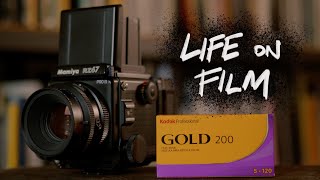 is Kodak Gold 200 that good  life on film [upl. by Allain]