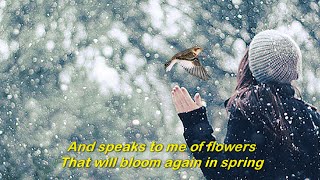 Snowbird 1969  ANNE MURRAY  Lyrics [upl. by Jemina]