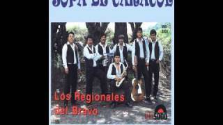 Los Regionales del Bravo en vivowmv [upl. by Eidde207]