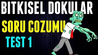 BİTKİSEL DOKULAR SORU ÇÖZÜMÜ TEST 1 LİSE BİYOLOJİ [upl. by Atyekram]