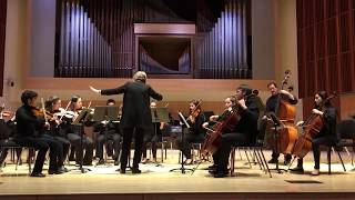 Sinfonia from Cantata 29 Partita No 3 in E Major  Bach [upl. by Notirb]