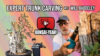 European Olive Trunk Carving w Will Baddeley  BonsaiYEAH [upl. by Atsahs282]