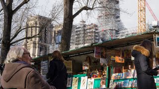 JO Paris 2024  soulagement pour les emblématiques bouquinistes qui restent sur les quais de Seine [upl. by Lek]