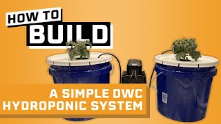 How to Build a Hydroponic System Under 30  Deep Water Culture Hydroponics [upl. by Hyrup]