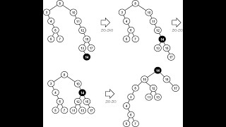 Splay Tree in Data Structure [upl. by Roselane]