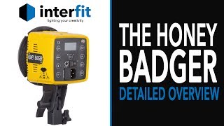 A Detailed Overview of the Honey Badger from Interfit Photographic [upl. by Sawyere880]