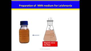 NNN medium for Leishmania Culture [upl. by Yesmar]