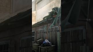 Dexter Morgan falls off a roof in rdr2 online shorts dexter rdr2 fyp trending youtube ytshort [upl. by Uaeb]