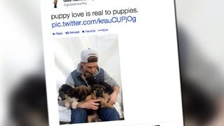 Slopestyle skier Gus Kenworthy saving Sochi puppies [upl. by Straub782]