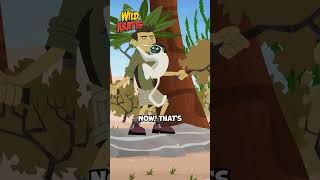 Lemurs have an Amazing Creature Ability  Vertical Clinging and Leaping  Wild Kratts zoboomafoo [upl. by Gilford]