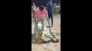 biggest python snake rescue in a garbage treatment plant 🐍। ajgar saamp kaisa rahata hai 😱 [upl. by Cichocki]