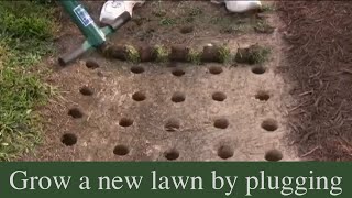 How to grow a new lawn by plugging [upl. by Aylsworth78]