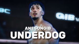 AnEsonGib UNDERDOG  Boxing Documentary [upl. by Giwdul]