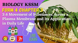 34 Movement of Substances Across a Plasma Membrane and Its Application in Daily Life [upl. by Seyer]