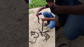 baam fishing  telugu  youtubevillagelife [upl. by Relyt350]