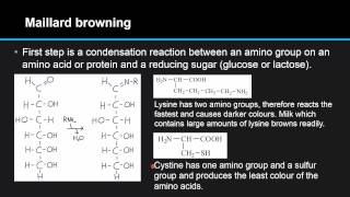 F46 Compare the two processes of nonenzymatic browning Maillard reaction and caramelization [upl. by Imiaj628]