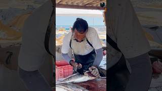 Huge Skipjack Tuna Fast Cutting Skills  Fish Slicing sharp Cuts fishcuttingskill fishcutting [upl. by Feer970]