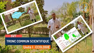 Ecologie Vidéo 1 définition et méthodes détude des communautés végétales Méthode physionomique [upl. by Rimat524]