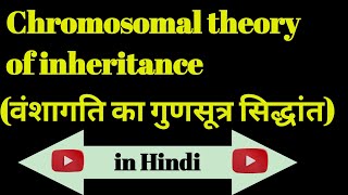 Chromosomal theory of inheritance ।। in Hindi [upl. by Anastatius]