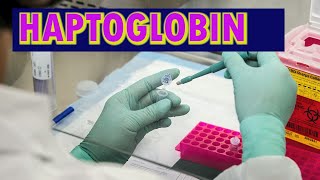 HAPTOGLOBIN [upl. by Mchale]