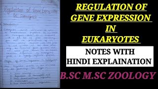 REGULATION OF GENE EXPRESSION IN EUKARYOTES HINDI EXPLAIN regulationingeneexpressionineukayote [upl. by Esinyl]