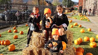 Crumlin Road Gaol  Halloween Pumpkin Patch [upl. by Nolat]