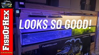 Coral Grow Out Budget Lighting Part 2 Unboxing amp 3D Printed Mounts  Nicrew HyperReef 150 [upl. by Willy515]