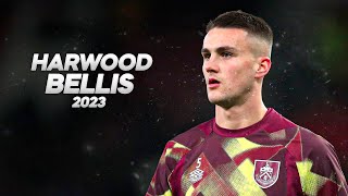 Taylor HarwoodBellis  Solid and Technical Defender 2023ᴴᴰ [upl. by Federica]