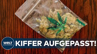 CANNABIS Kiffer aufgepasst Drogenbeauftragte der Bundesregierung überrascht mit Eigenbedarfvorstoß [upl. by Fiorenza]