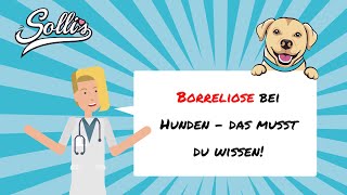 Borreliose beim Hund  Symptome amp Behandlung [upl. by Durst517]