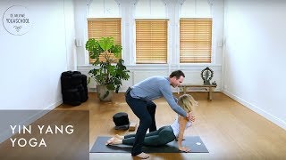 50 min Yin Yang Yoga  Johan Noorloos [upl. by Simmonds]