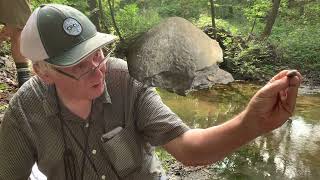 Fossil Collecting with Carl Brett Brachiopods [upl. by Ikir535]