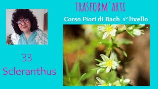 Scleranthus Fiori di Bach Corso Online [upl. by Asiulana303]