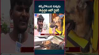 iSmart News  తప్పిపోయిన కుక్కను తెచ్చిచ్చిన ఆటో డ్రైవర్  Auto Driver Fetched The Lost Dog TV9 [upl. by Anuala]