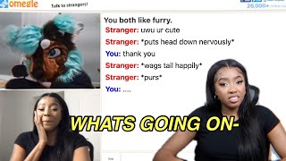 FLIRTING WITH FURRIES ON OMEGLE [upl. by Negyam363]