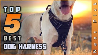 Top 5 Best Dog Harnesses Review  For Large Dogs To Stop Pulling 2023 [upl. by Audsley765]