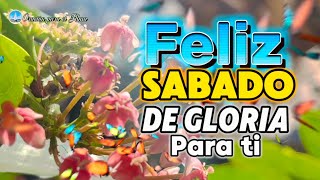 Feliz sábado de gloria 🙏🏻Abre este bello mensaje de buenos días 🌞Sábado santo [upl. by Goto]