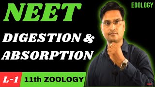 Digestion and Absorption FULL CHAPTER  NCERT Class 11th Zoology  NEET 2024  EDOLOGY NEET [upl. by Merissa850]