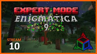 Enigmatica 9 EXPERT Mode  Day 10 Stream VOD [upl. by Annoda]