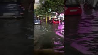 Anna nagar current situation flood 1145 😱 chennai annanagar [upl. by Hendrika]