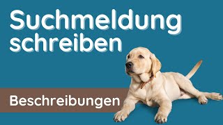 Hund vermisst ✅ Anleitung für Klasse 45 mit Beispiel Labrador [upl. by Eniar]