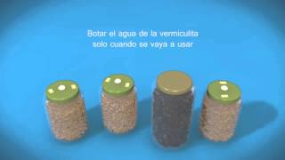 Tutorial sobre cultivo de hongos [upl. by Eppilihp]