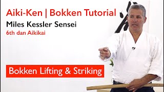 Aikido Bokken Basics Lifting amp Striking [upl. by Mathilde]