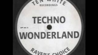 Ravers Choice  Techno Wonderland [upl. by Kerry658]