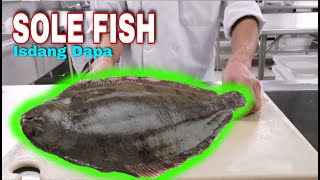 HOW TO FILLET A DOVER SOLE or ISDANG DAPA PINAKA MADALING PARAAN [upl. by Tserrof927]