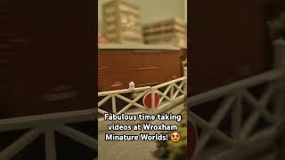 Wroxham Minature Worlds 😁 modeltrains trains [upl. by Nicole]