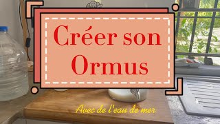 Comment faire son Ormus Appelé aussi GaNs Potion des Druides byEveilTSens [upl. by Irrak]