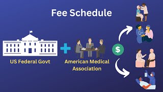 Fee Schedule  US Healthcare [upl. by Elyod]